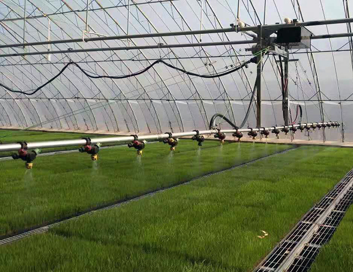 溫室自動噴灌機(jī)